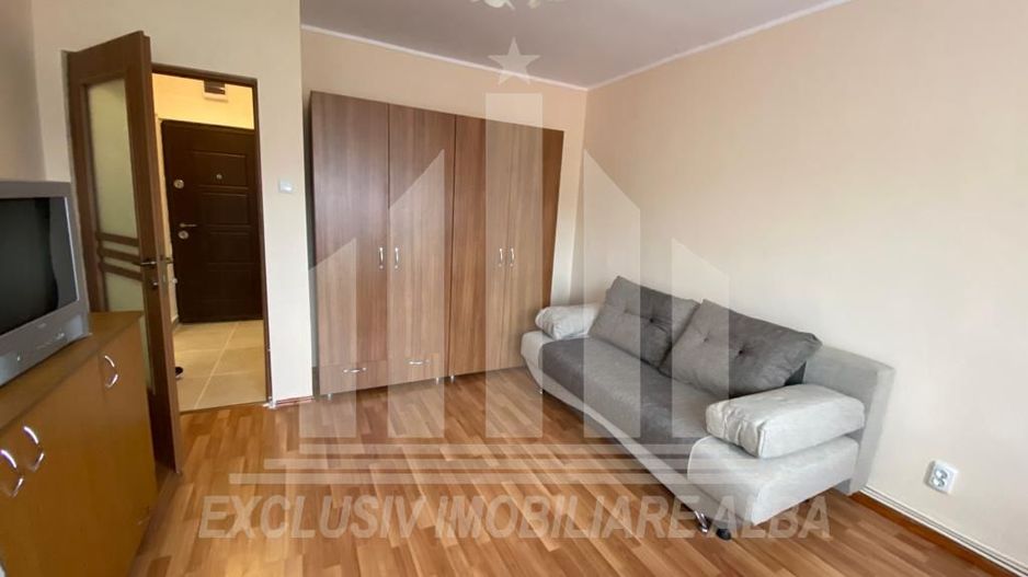 Apartament cu o camera in Cetate - Poză 3