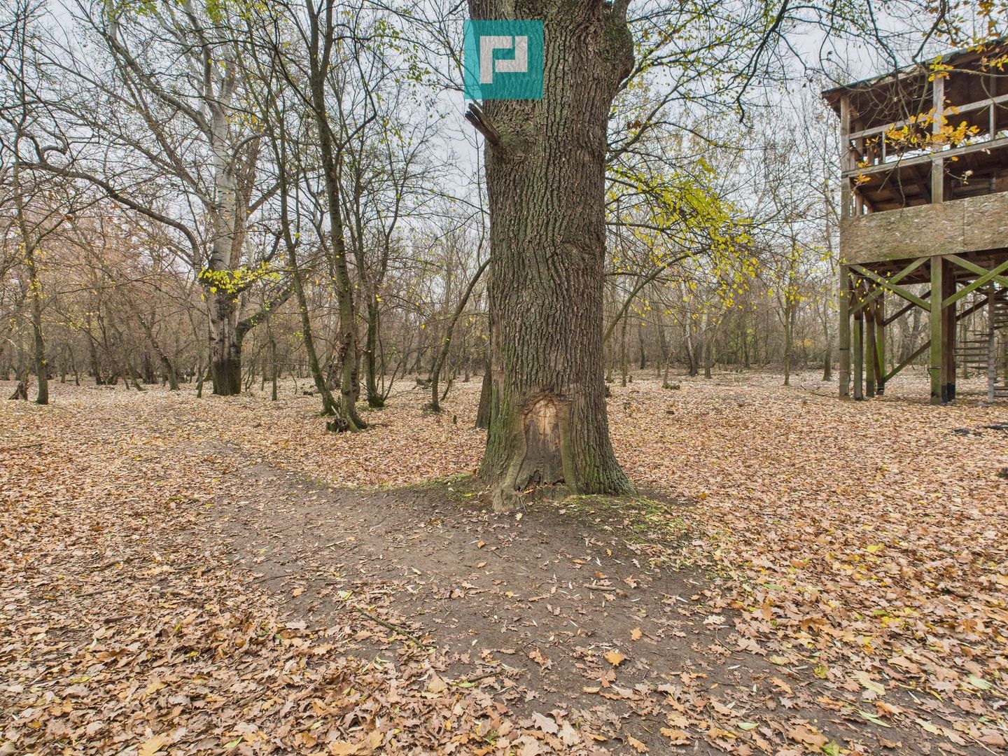 Teren pe malul Muresului- oportunitati multiple - Poză 15