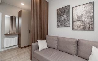 Chirie, apartament, 2 camere, bd. Renașterii Naționale, Râșcani - Poză 3
