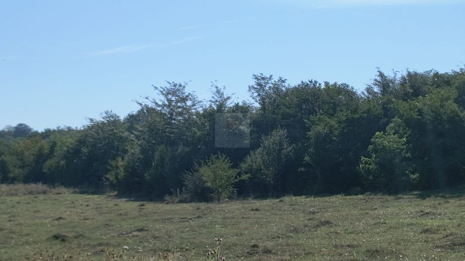 Teren intravilan investitie - Poză 2