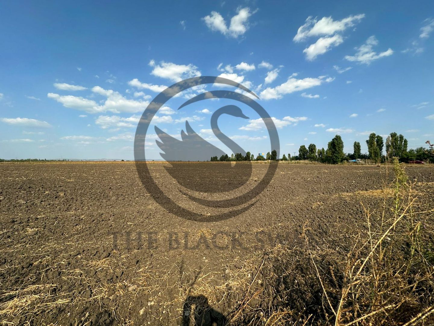 Teren extravilan de vanzare | 9882mp | Berceni - Prahova | Comision 0% - Poză 9