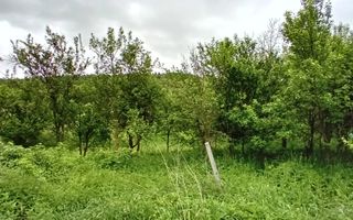 Teren intravilan | Budiu Mic | 994 mp - Poză 3