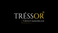 TRESSOR GROUP IMMOBILIER - Logo