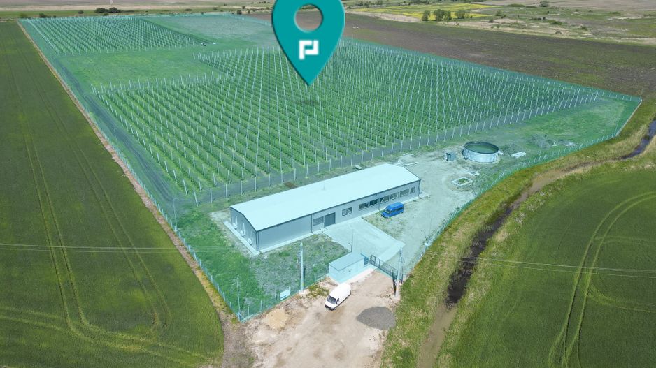 Oportunitate investiție: Livadă de Cireși și Hală - Poză 1