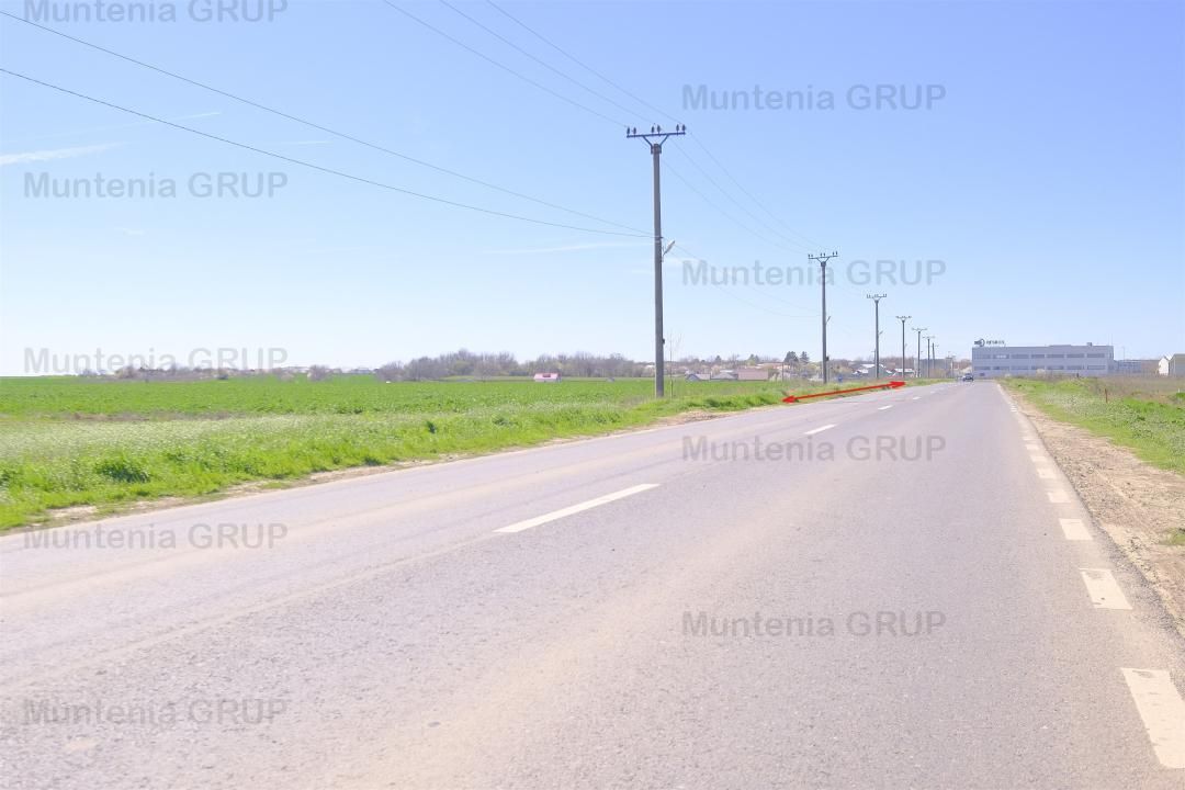 Unicat ! Dascalu, 65.000 mp. teren cu deschidere de 102 ml. la DJ 200 - Poză 3