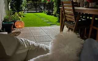 Apartament 2 camere I P+curte proprie 70mp I vedere la padure I Greenfield - Poză 15