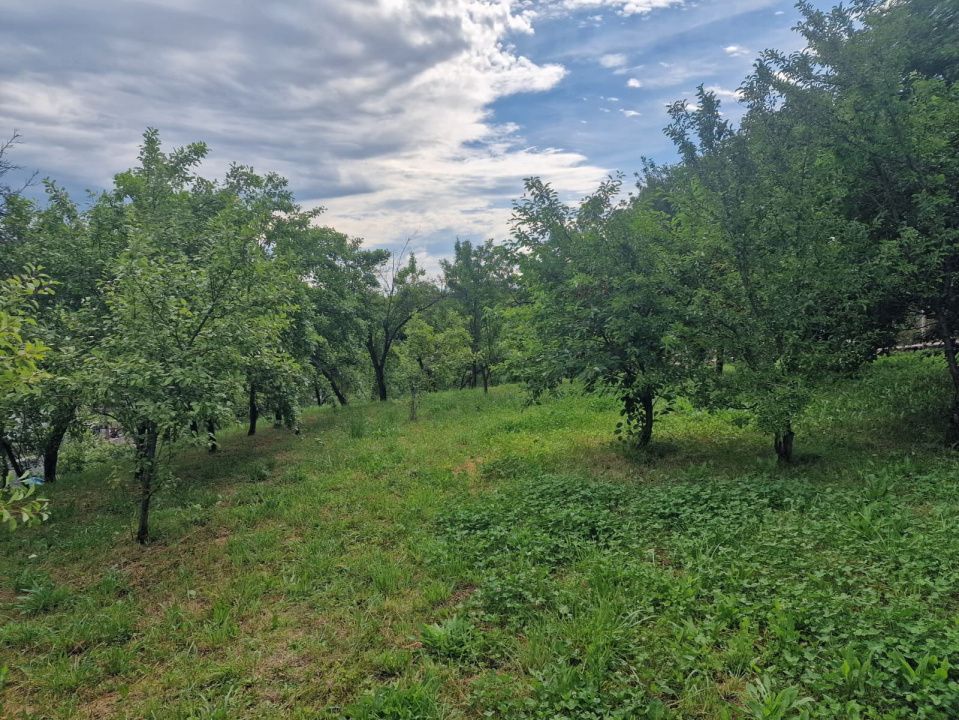 Teren intravilan  1400 mp - Albota ! - Poză 5
