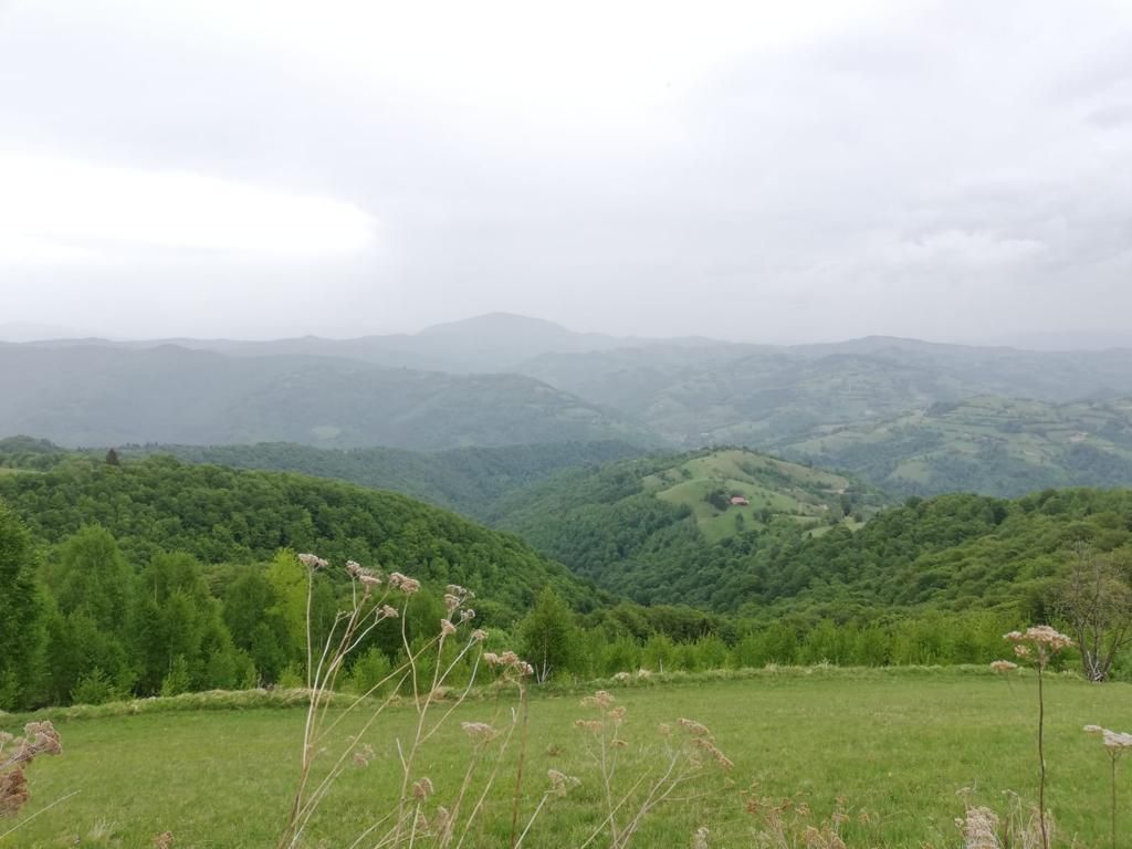 Proprietar vand teren extravilan 2ha, PANORAMA SUPER, Poiana Marului - Poză 5