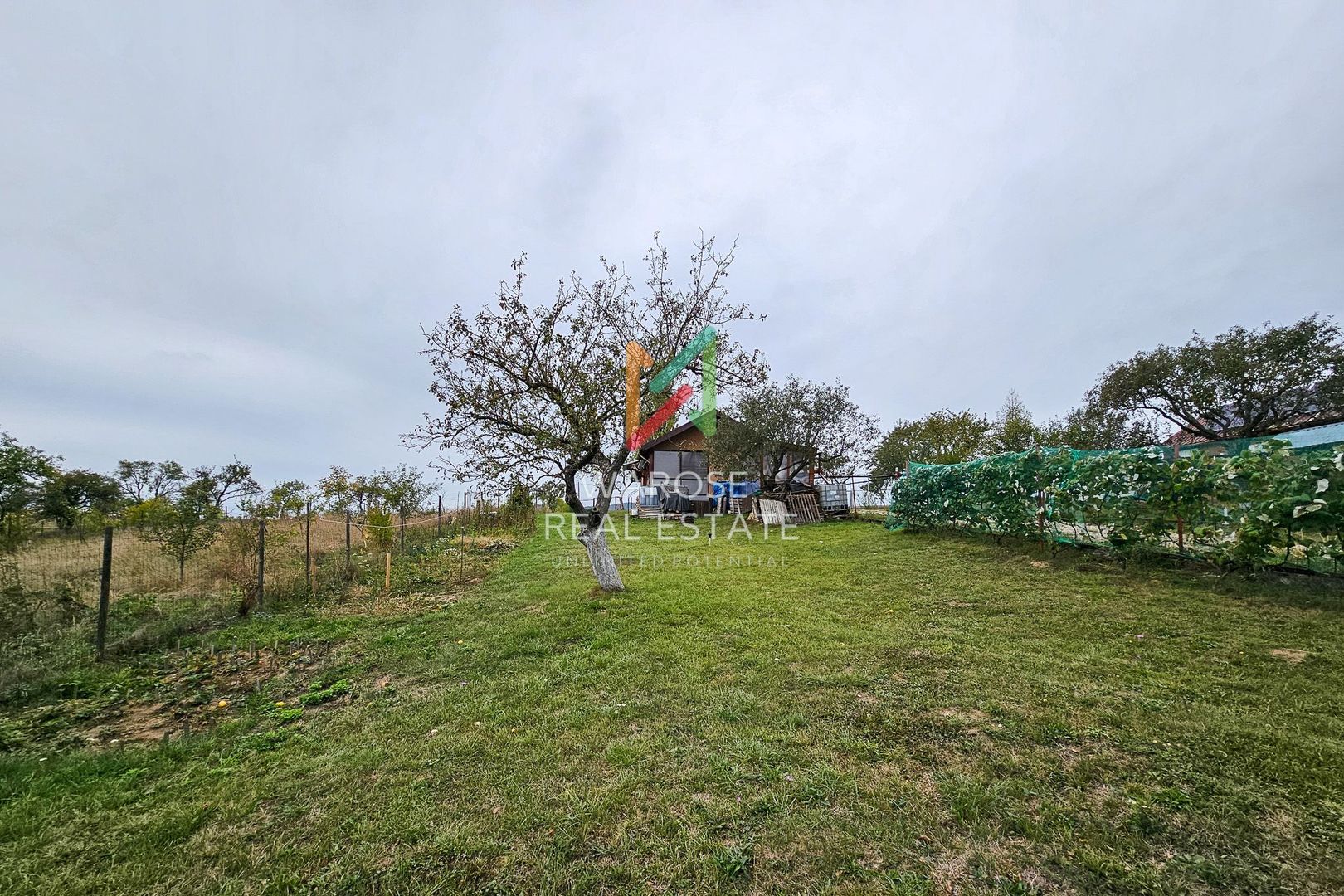 Teren Investitie- 1730 mp-Cabana construita 60 mp - Poză 14