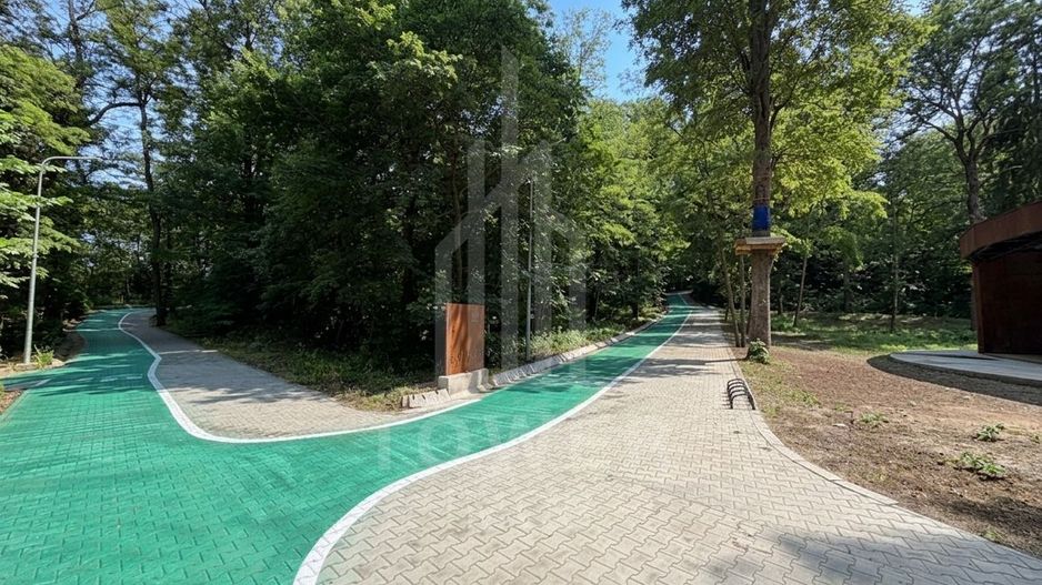 OCAZIE RARĂ - Teren cu cabană de vânzare lângă Lacurile Naturale - Ocna Sibiului - Poză 17