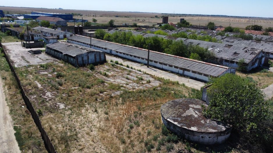 Spațiu industrial -fermă Orțișoara - Poză 20