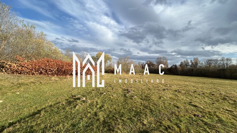 Teren cu potențial turistic I Cârțișoara I 1800 MP - Poză 3