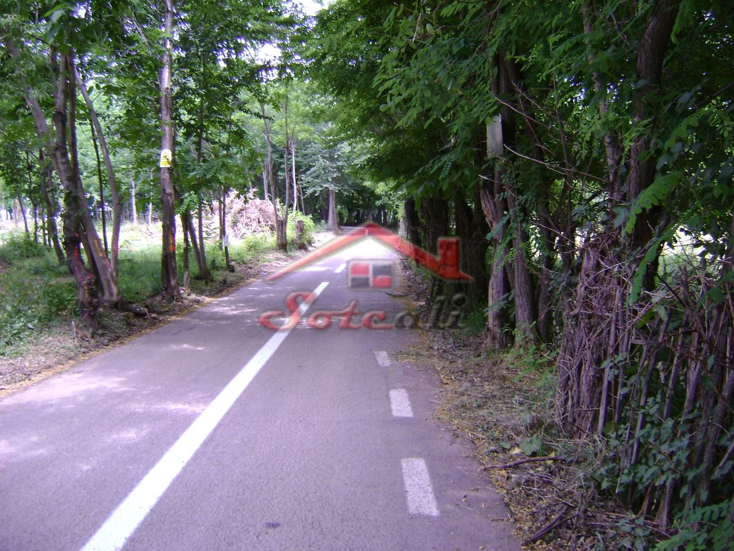 Teren de vanzare Cornu 3074 mp - Poză 11