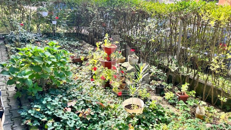 Apartament 2 camere Cetate cu gradina - Poză 7