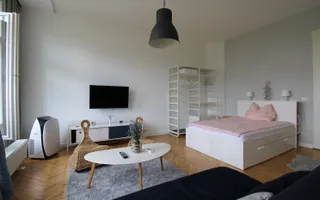Langa Medicina| Amenajat modern| centrala proprie| cladire istorica| clima| - Poză 25