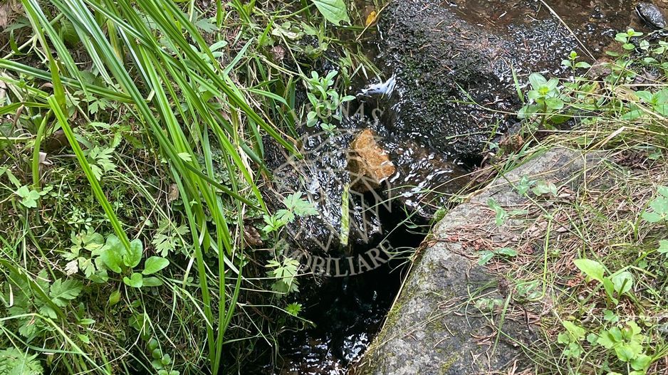 COMISION 0 20.000 MP TEREN EXTRAVILAN CU PADURE ZONA TURISTICA VISAGU VLADEASA - Poză 4