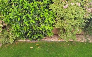 Casa deosebita, Gheorgheni-zona Iulius Mall - Poză 24