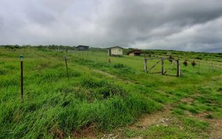 🌳TEREN INTRAVILAN CHIPEREȘTI 440 MP - 12.000 EURO 🏡 - Poză 10