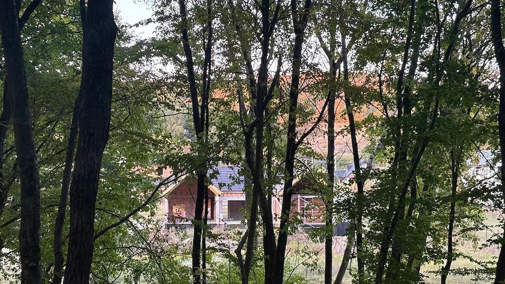 Casa individuala superba, cu arhitectura scandinava, moderna - langa padure, teren generos - Poză 6