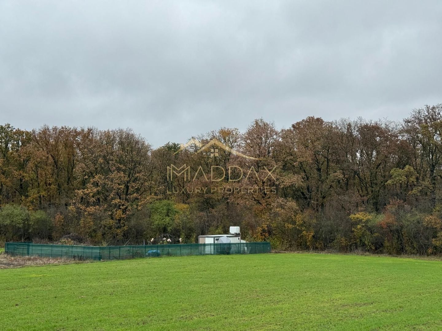 Maddax Luxury Properties vă propune spre vânzare un lot de teren în Balotești - Poză 2