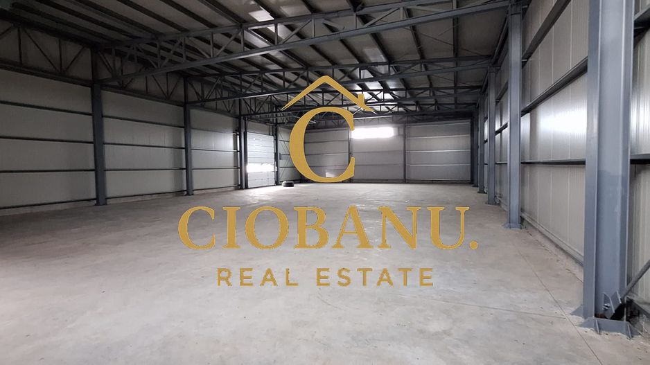 Hale industriale+Cladire de Birouri de inchiriat zona Aeroport - Poză 9