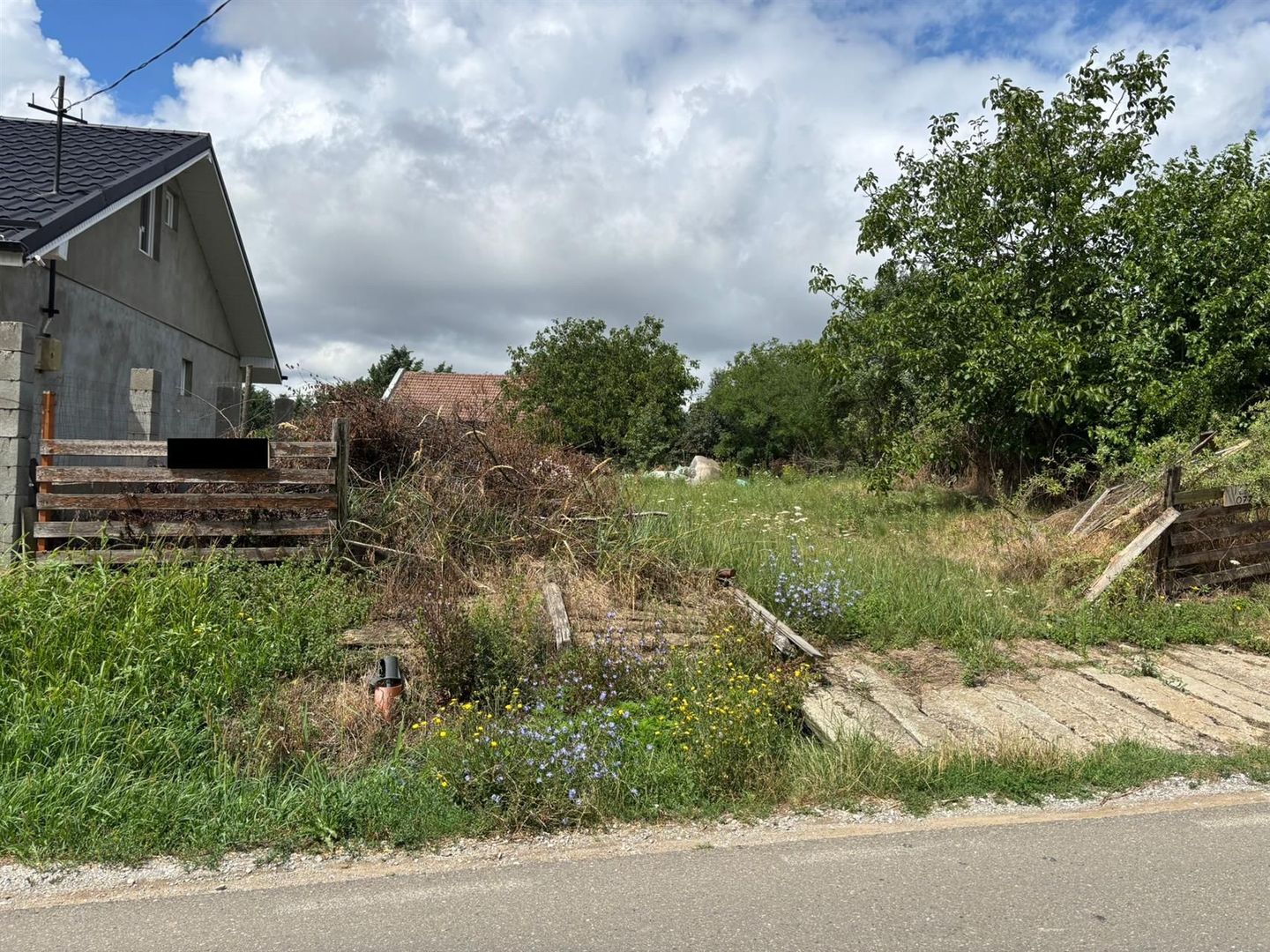 Teren intravilan in centru Paleu - Poză 1