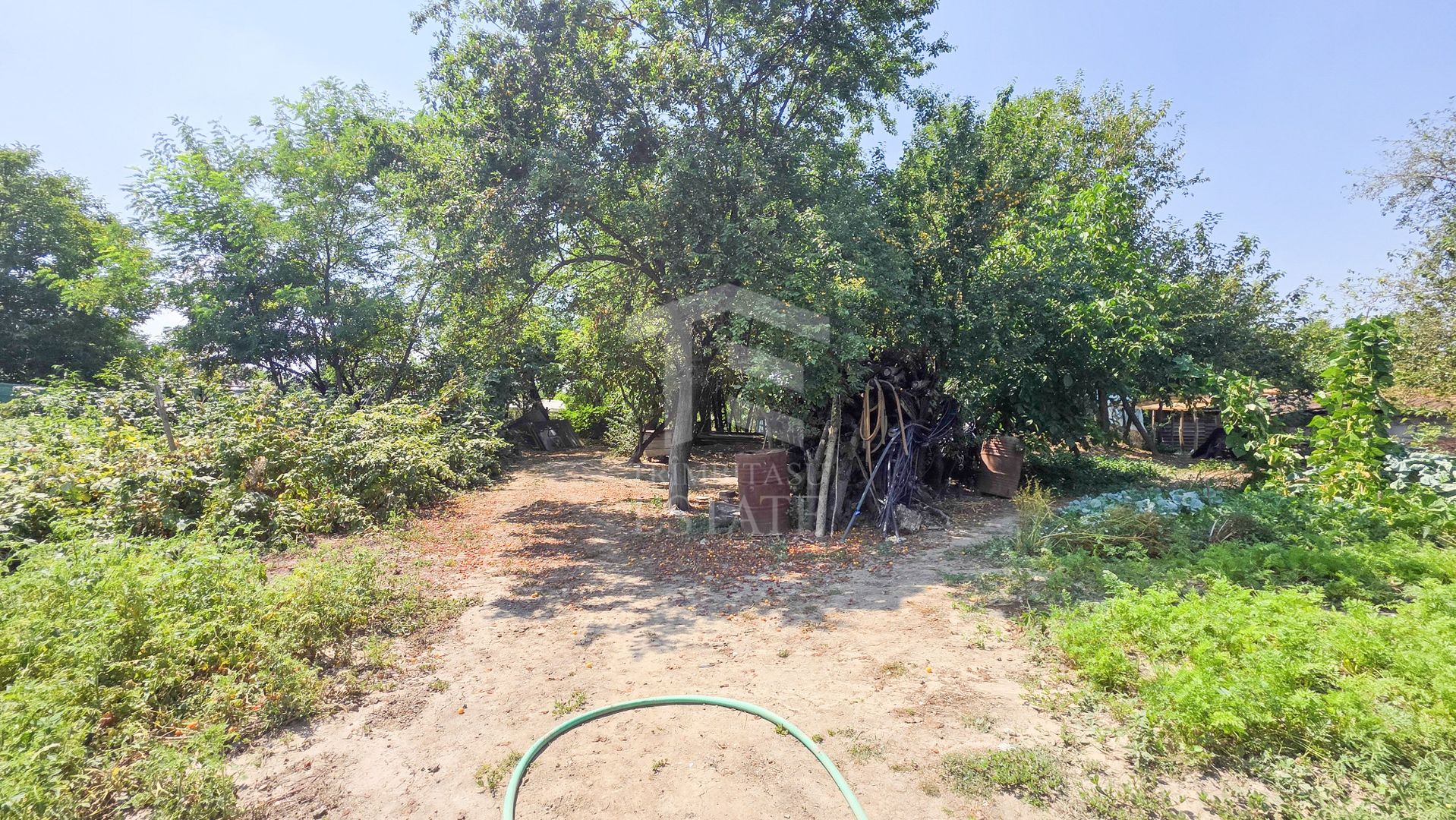 Teren intravilan generos – Țegheș, Str. Transilvaniei - Poză 10