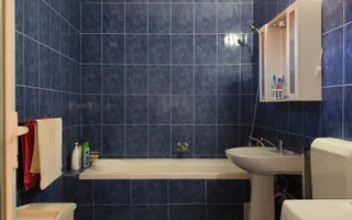 Casa la tara - teren 2826 mp, acces auto, in Sacadat, Bihor - Poză 13