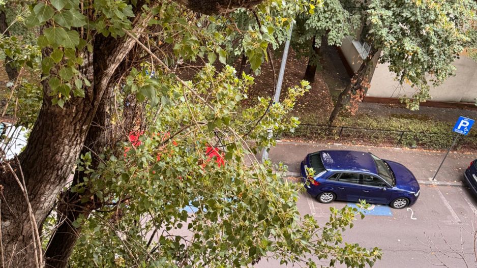 Garsonieră Pajura Decomandat - Poză 8