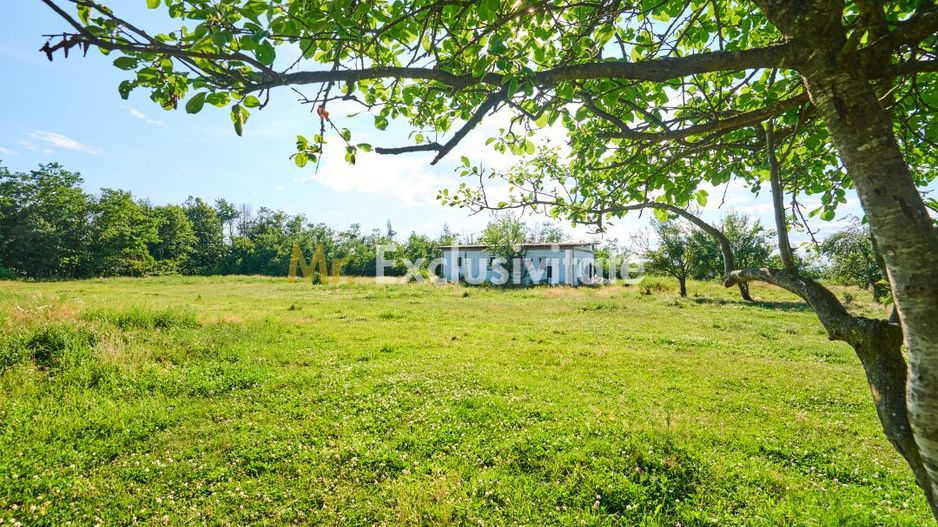Teren Intravilan 1100 mp + Anexă 120 mp - Budeasa, Calotesti! - Poză 7