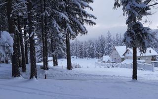 Casa de vacanta 6 camere sau oportunitate de investitie in Paltinis - Poză 1