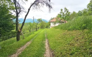 Domeniu Premium 1.7 Ha Intravilan Zărnești | Lizieră Pădure | Ideal Resort - Poză 11