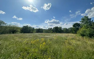 Teren intravilan de vanzare | 11.000 mp | Ghirdoveni | Comision 0% - Poză 11