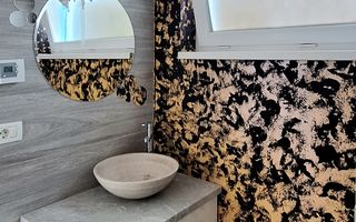 Locuinta insiruita cu 3 camere in Dumbravita - Poză 14