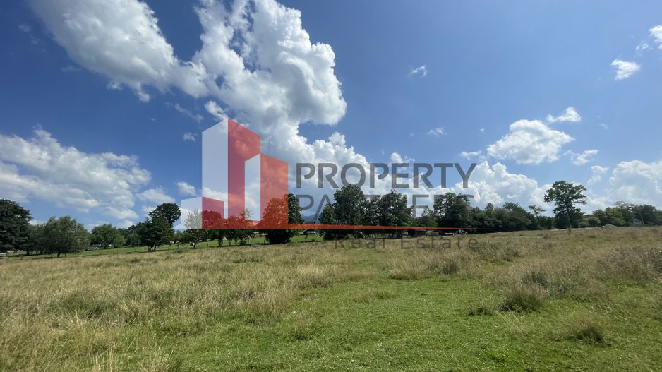 Teren de vanzare in  Tohanu Nou-Sohodol 6200 mp - Poză 2