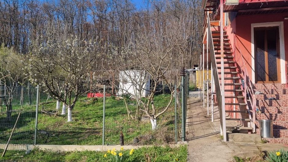 Casă P+M cu 1.558 mp teren, livadă și garaj | Barza, Gorj Comision 0%  - Poză 12