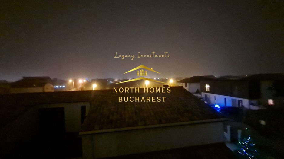 Otopeni Penny Odai - Vila 4 camere spectaculoasa! - str. George Enescu - Poză 20