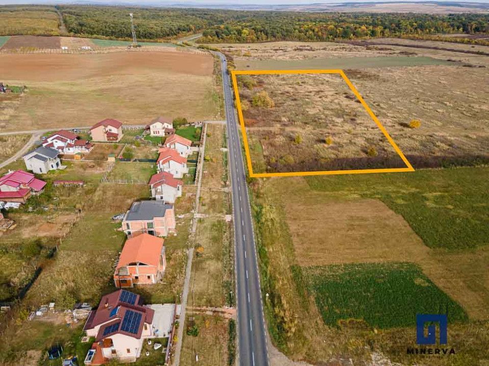 Teren pentru parcelare, 19000 mp, Pișchia, comision 0 - Poză 6