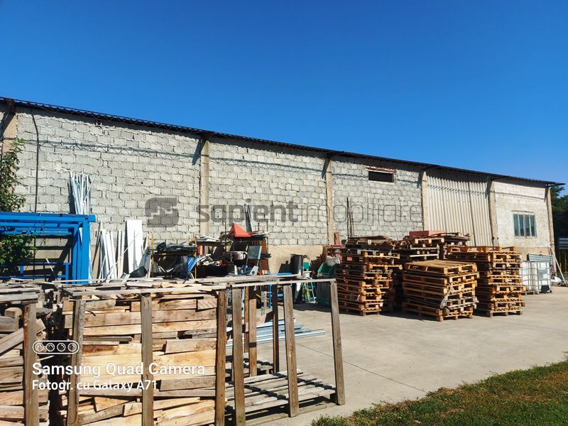 Hala ideala pentru depozitare str.Santaului - Poză 3