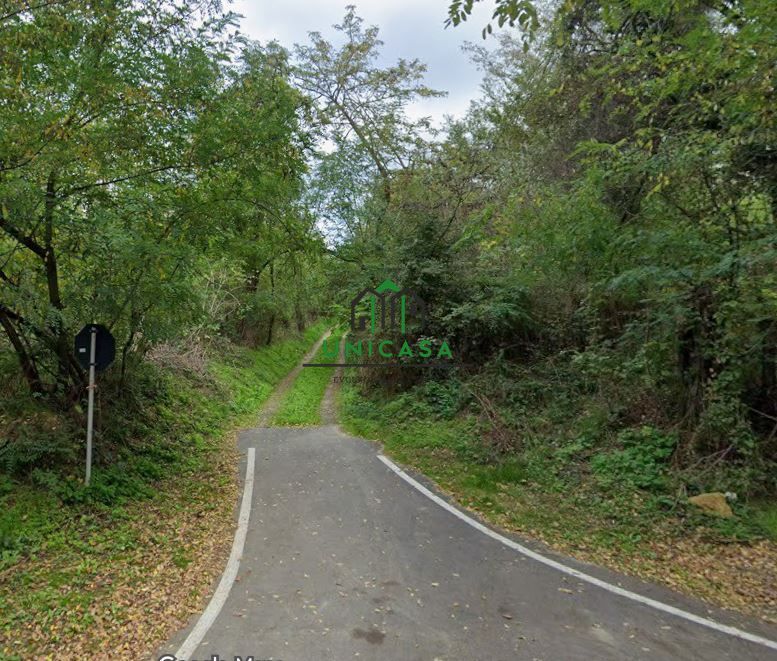 Teren 12.690 mp | 3.900 mp intravilan | Ocnele Mari- Slatioarele - Poză 5