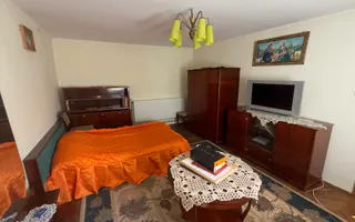 CASĂ 4 CAMERE TEREN 1316 MP LEREȘTI ARGEȘ - Poză 20