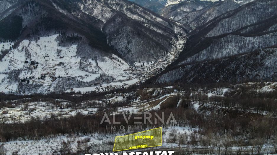 Teren intravilan 3127mp Front 47m | drum asfaltat | Plopi Valea Ierii - Poză 1