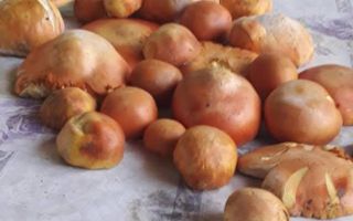 Proprietate cu 60000 mp pamant la pret de apartament - Poză 3