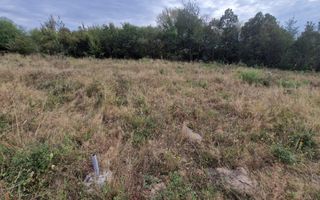 Vanzare teren intravilan, Smeura - Poză 6