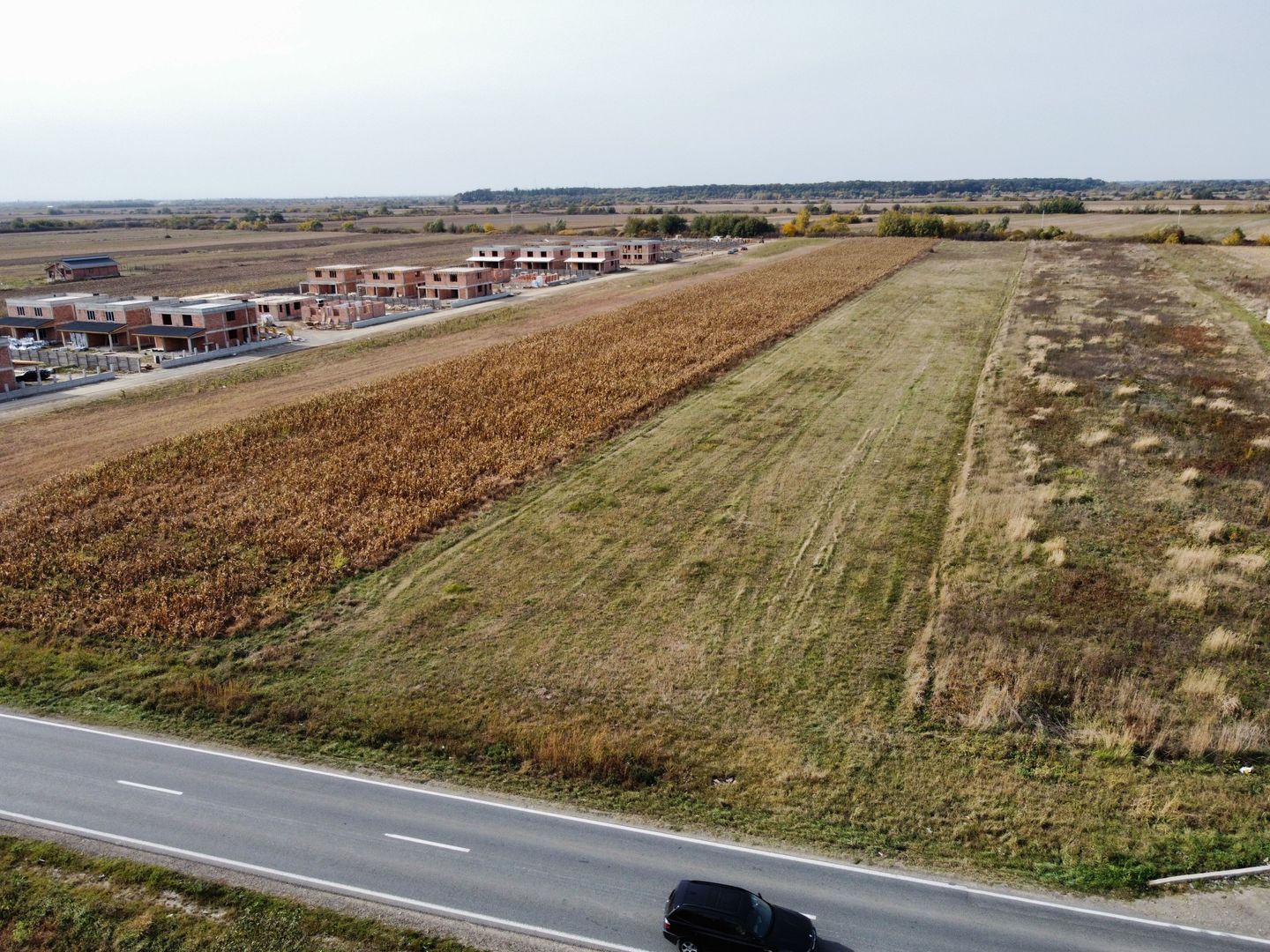 Teren PUZ rezidential-Bucovat (Remetea Mare) - Poză 4