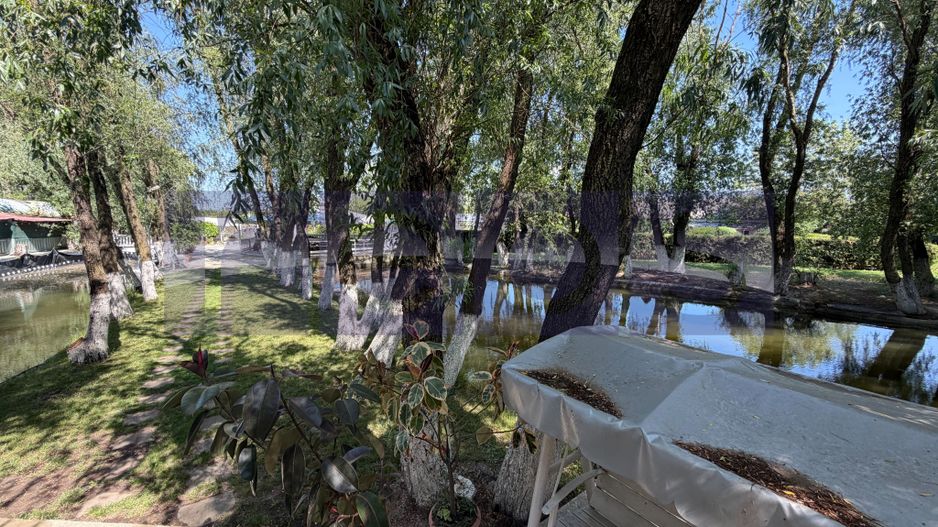 DOMENIU SPECTACULOS DE 25.000 MP | 4 IAZURI |  LIVADA | SPATIU PENTRU EVENIMENTE - Poză 7