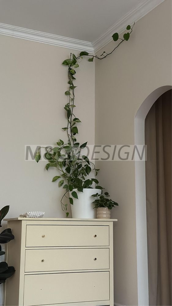 Apartament 3 camere Traian - Poză 6