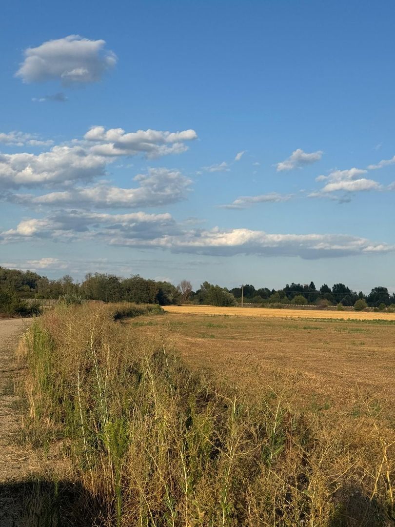Parcele Teren intravilan Fughiu - Poză 3