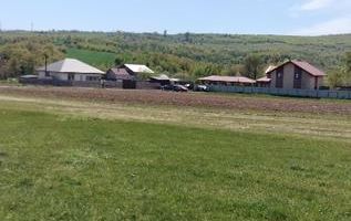 Teren extravilan 7.200 mp, Bordea - Grajduri, oportunitate investiție - Poză 5