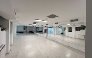 220 m2- studio dans de închiriat Sector 4, București - Poză 4
